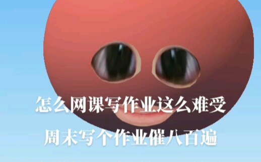 sm网课老师哔哩哔哩bilibili