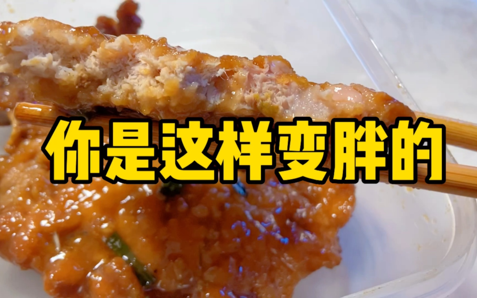 【慎点:没食欲预警】脂肪生长过程丨原来我是这样变胖的?脂肪是通过什么排出体外的?(偷懒版:163女生 部分饮食打卡)哔哩哔哩bilibili