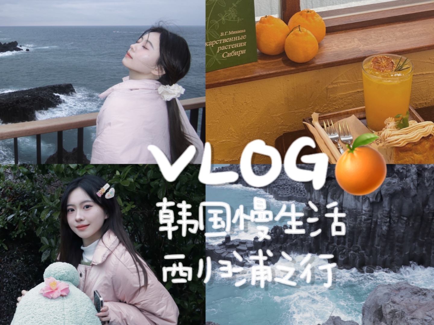 韩国旅行VLOG(下)比济州更美的西归浦!冬日走走逛逛的慢生活哔哩哔哩bilibili