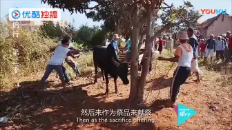 Descargar video: 侣行：全村人竟然共用一个杯子！马达加斯加怪异的祭祀前准备