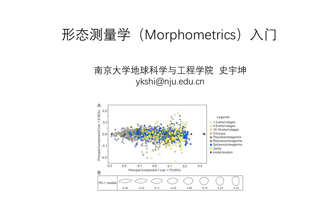 形态测量学入门:7 数据分析之实践篇哔哩哔哩bilibili