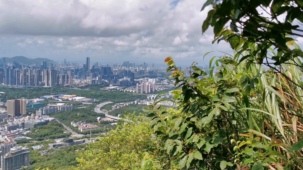 深圳塘朗山公园远眺