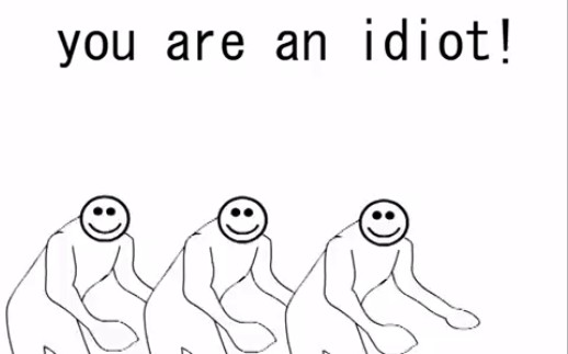 [图]you are an idiot!