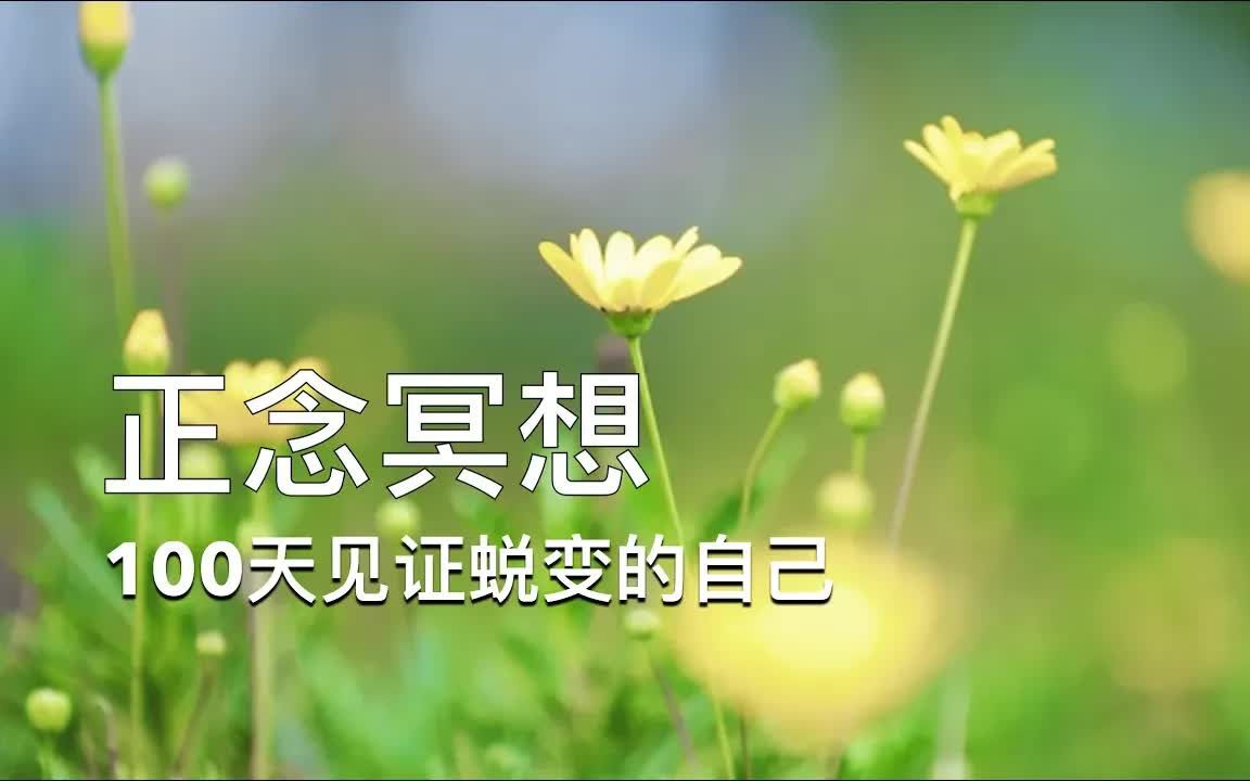 day3正念冥想入门二分钟正念呼吸