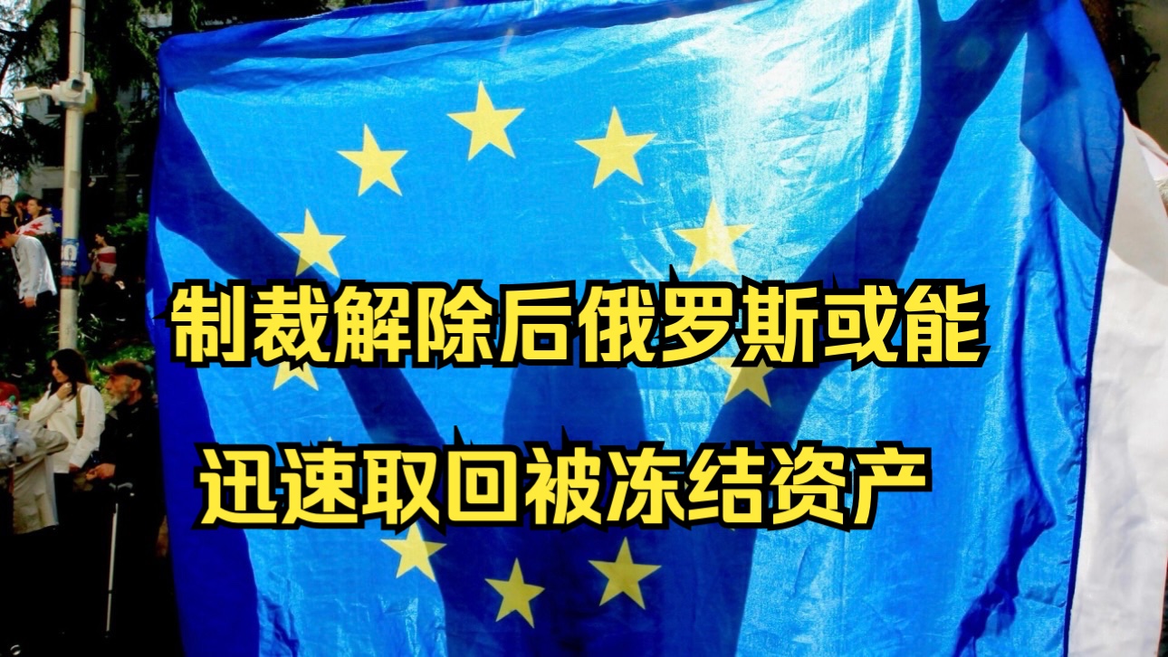 制裁解除后俄罗斯或能迅速取回被冻结资产哔哩哔哩bilibili