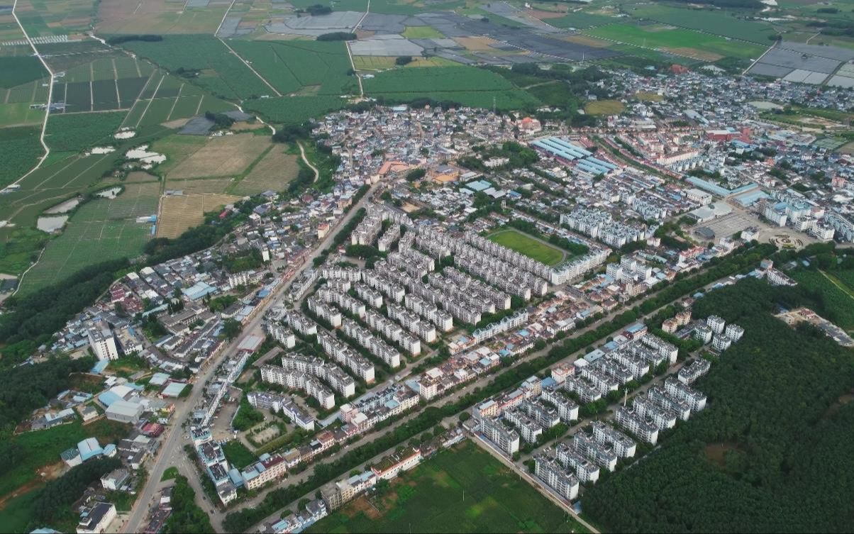 djimini2下的西双版纳东风农场