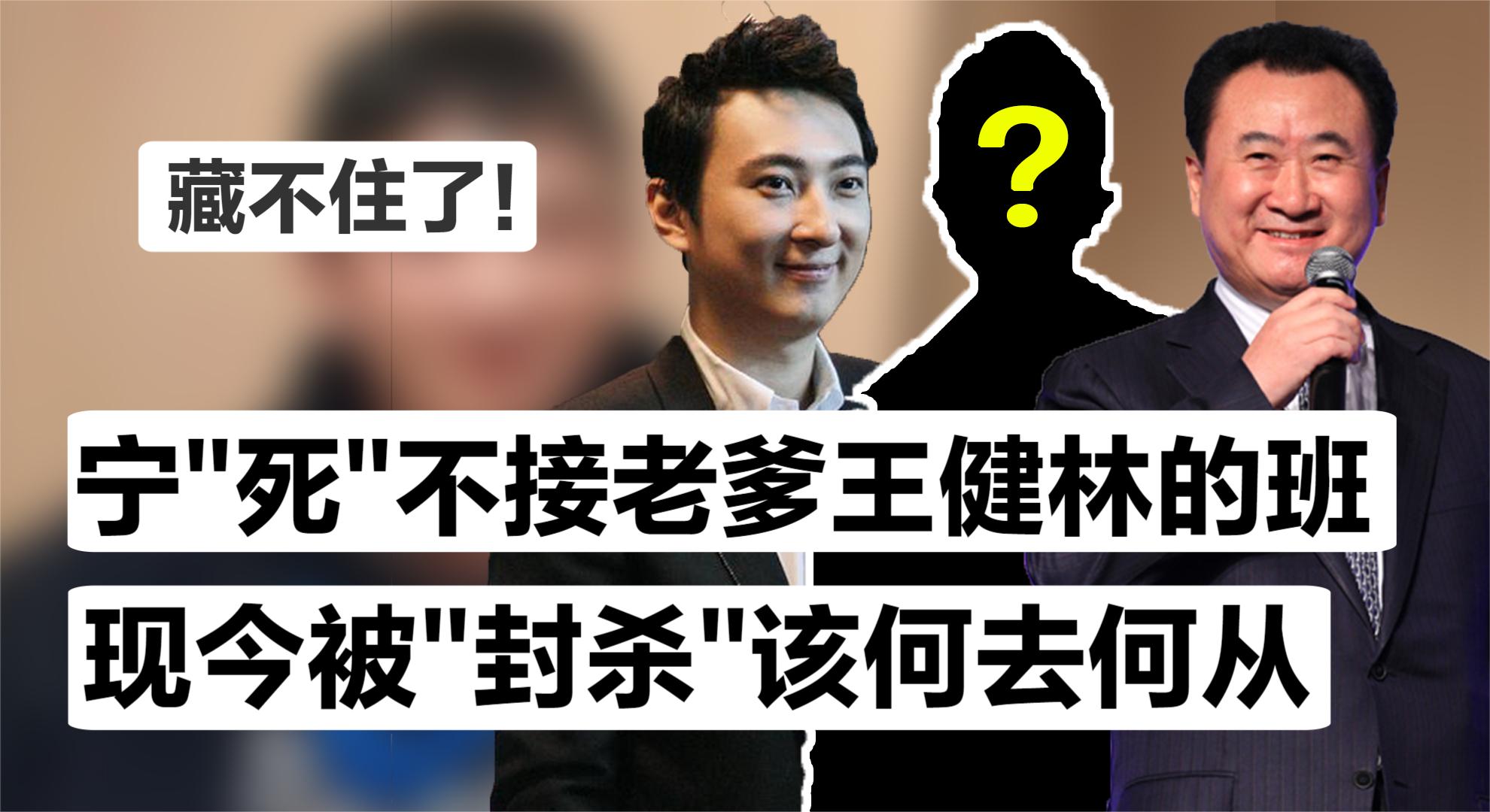 被王健林踢出接班人?王思聪突发卸任万达董事,意外暴露家族内幕哔哩哔哩bilibili