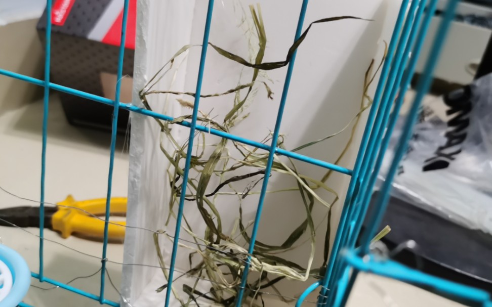 兔子 自制草架