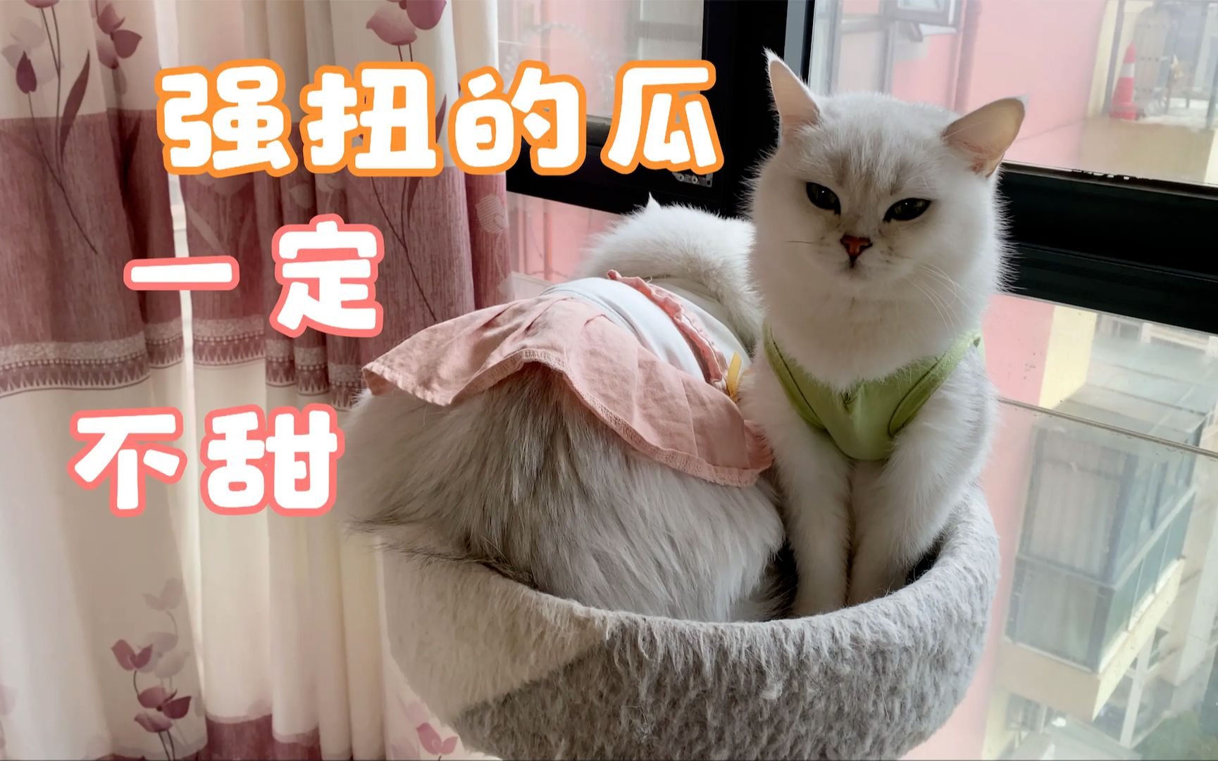 强扭的瓜真不甜!