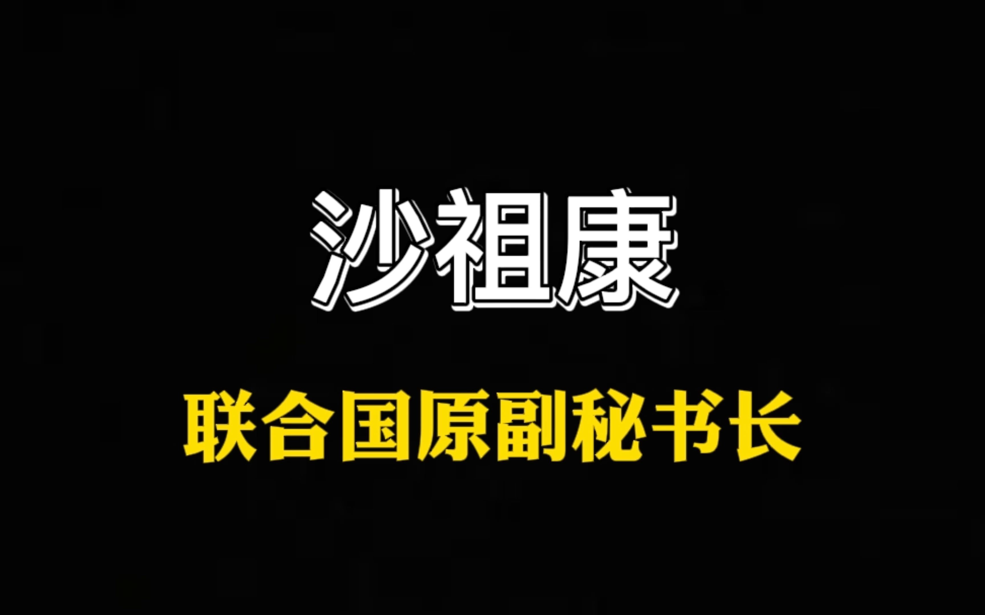 [图]联合国原副秘书长、中巴友好协会会长沙祖康——第一届亚洲矿业创新发展高峰论坛并发表演讲