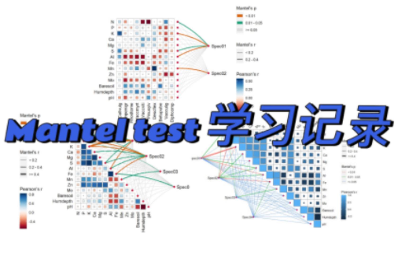 R语言Manteltest学习整理初学记录哔哩哔哩bilibili