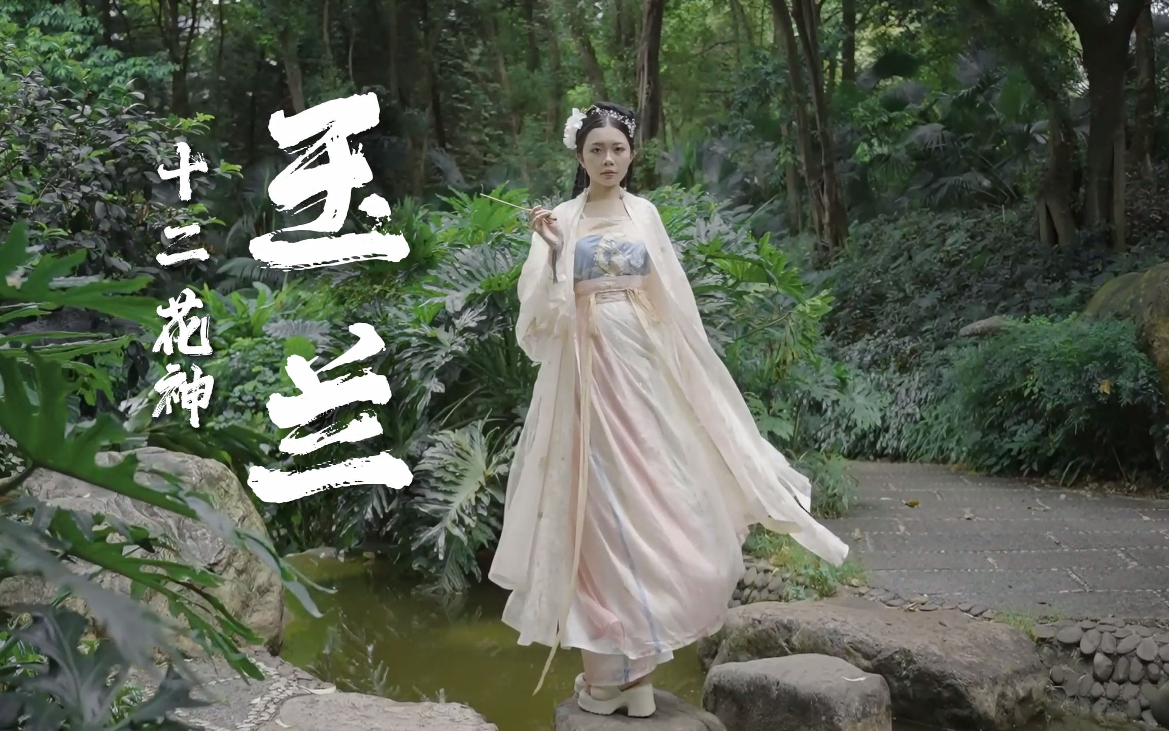 「广州华美61玉兰花神」霓裳片片晚妆新,束素亭亭玉殿春