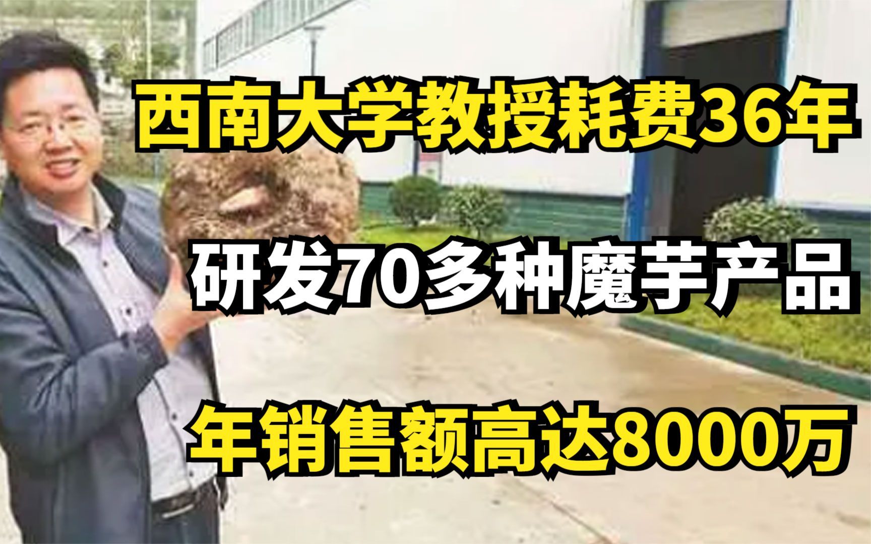 西南大学教授耗费36年,研发70多种魔芋产品,年销售额高达8000万哔哩哔哩bilibili