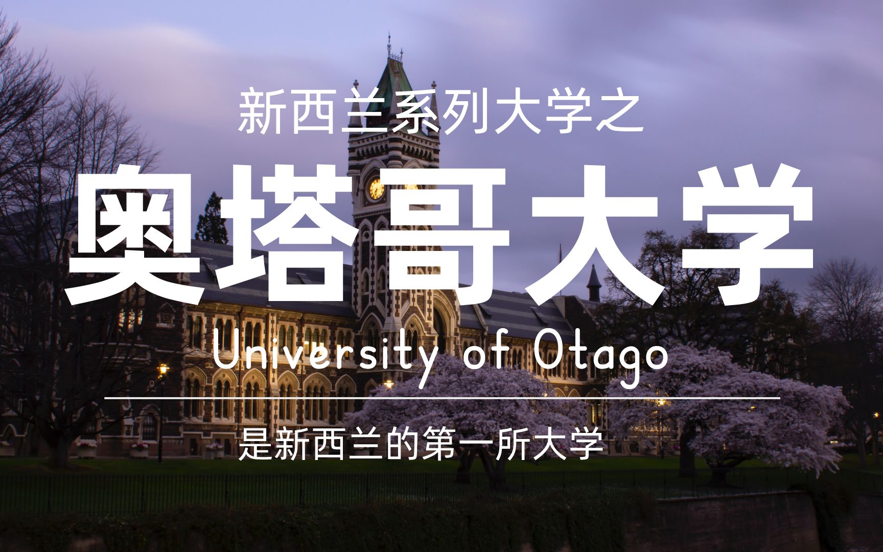 新西兰系列大学之奥塔哥大学,新西兰历史最悠久的大学哔哩哔哩bilibili