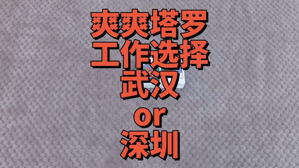 爽爽塔罗工作选择:武汉or深圳