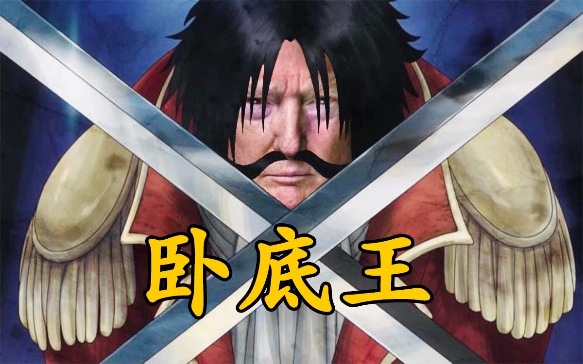【川普】卧底王(海贼王 we are)_哔哩哔哩_bilibili