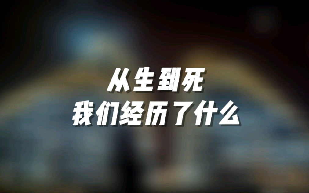 从生到死 我们经历了什么