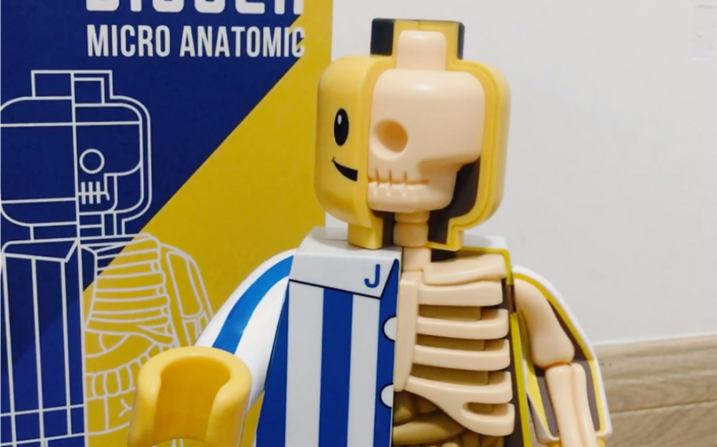 单手开箱001|常常互动的孩子会得到玩具|jason freeny签名版乐高半剖