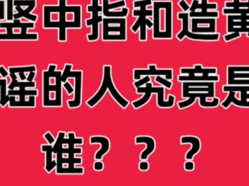 巴黎奥运会女单决赛之竖中指和造黄谣的是谁?【孙颖莎】【陈梦】—揭露【莎头】CP粉和胖莎粉的真面目.哔哩哔哩bilibili