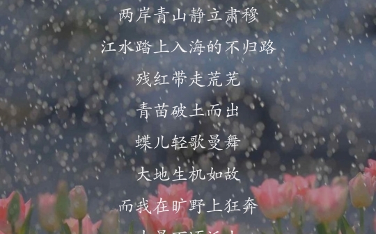 原创诗歌|【谷雨】哔哩哔哩bilibili