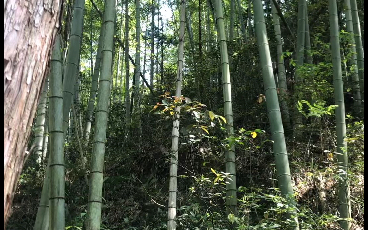 [图]宁海温泉山庄一日游