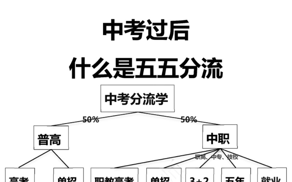 中考过后的五五分流!一定要知道!一张图带你看懂