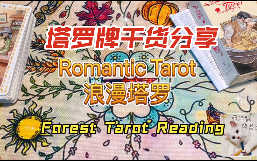 森林塔罗|干货分享|占卜感情超好用的塔罗牌!Romantic Tarot 浪漫塔罗哔哩哔哩bilibili