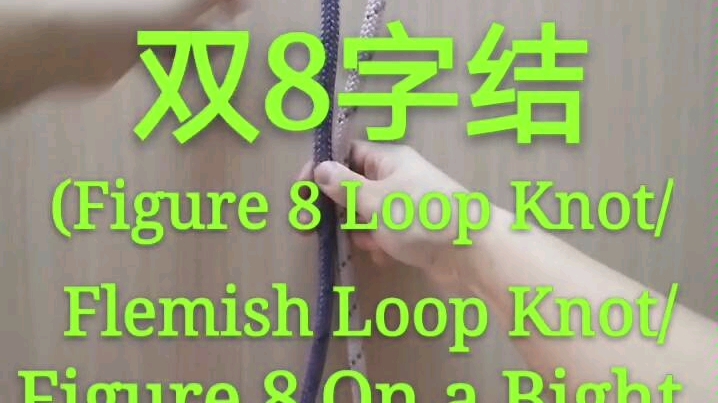 双8字结( Figure 8 Loop Knot / Flemish Loop Knot / Figure 8 on a Bight Knot )哔哩哔哩bilibili