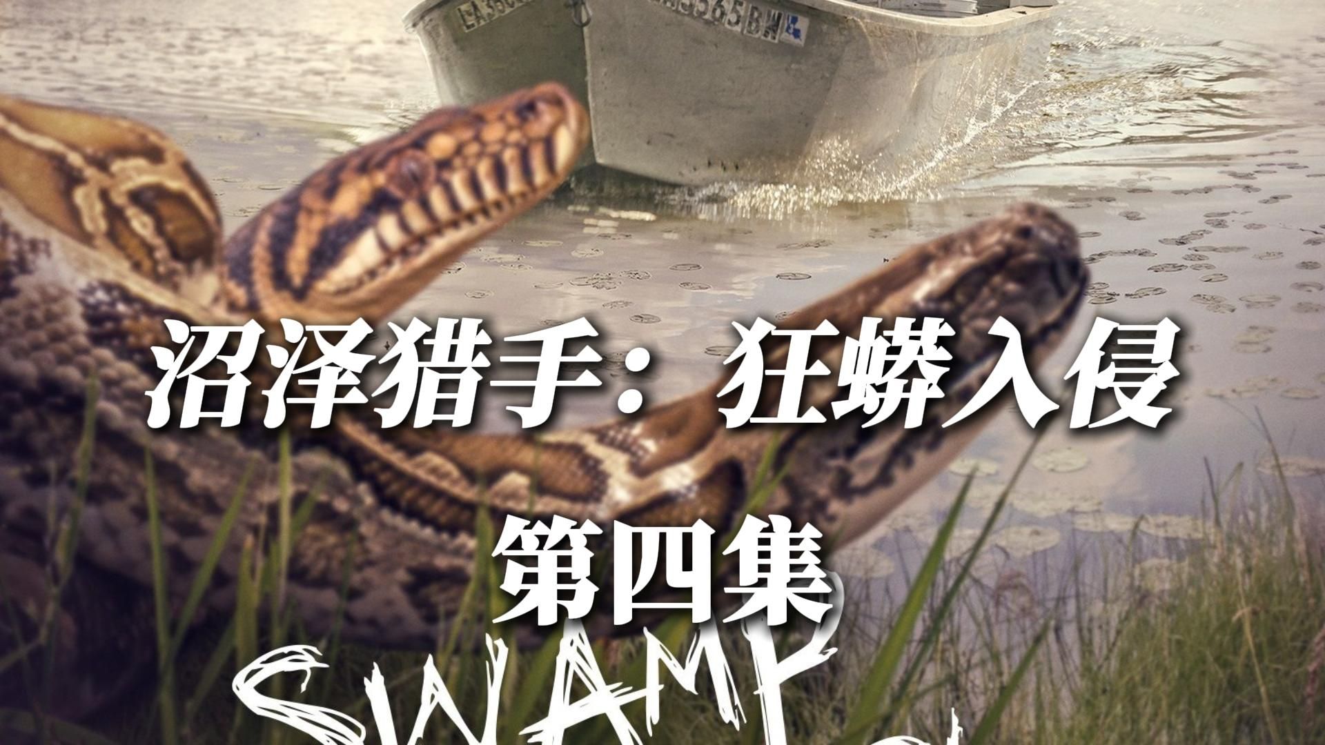 沼泽猎手:狂蟒入侵第三季,勤劳的第二小队杜史迪与懒散的三小队 #沼泽