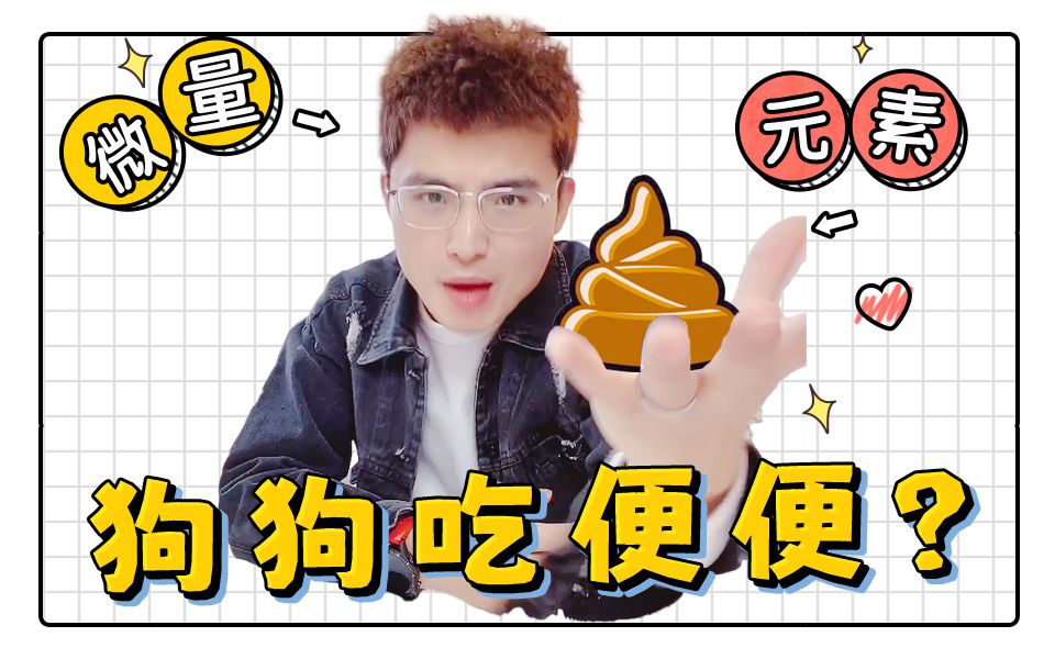 狗狗为什么吃便便?哔哩哔哩bilibili