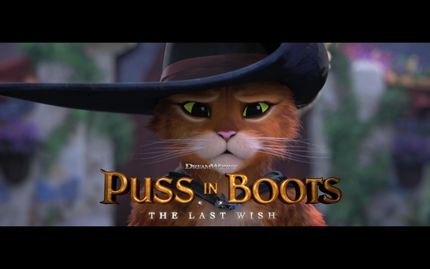 [图]靴子猫2：最后的愿望 Puss in Boots: The Last Wish