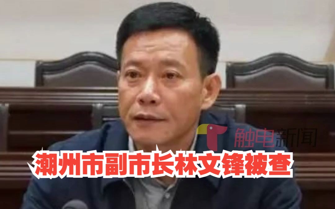 涉嫌严重违纪违法!潮州市副市长林文锋被查