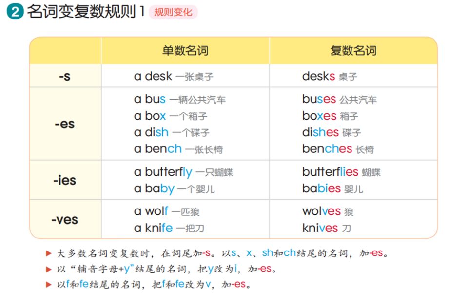 L3U2语法知识点名词复数s/es哔哩哔哩bilibili