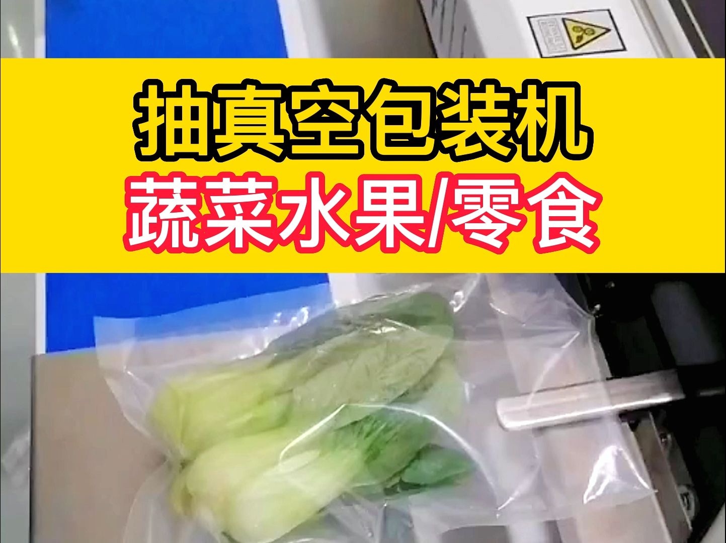 抽真空包装机,可包装蔬菜,水果,零食等