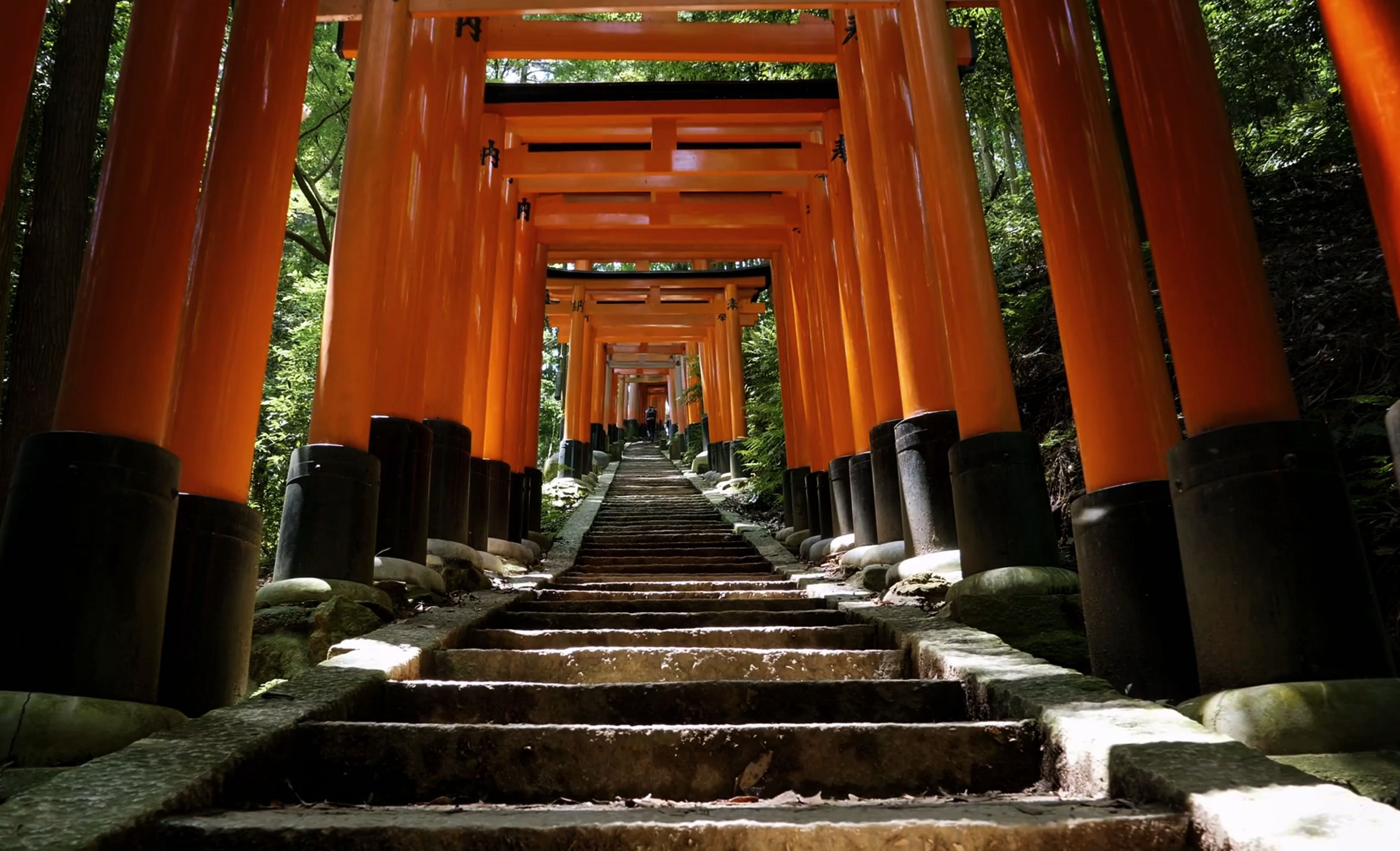 伏见稻荷大社丨以狐狸信仰著称的千年古祠 一念神域 一念人间哔哩哔哩bilibili