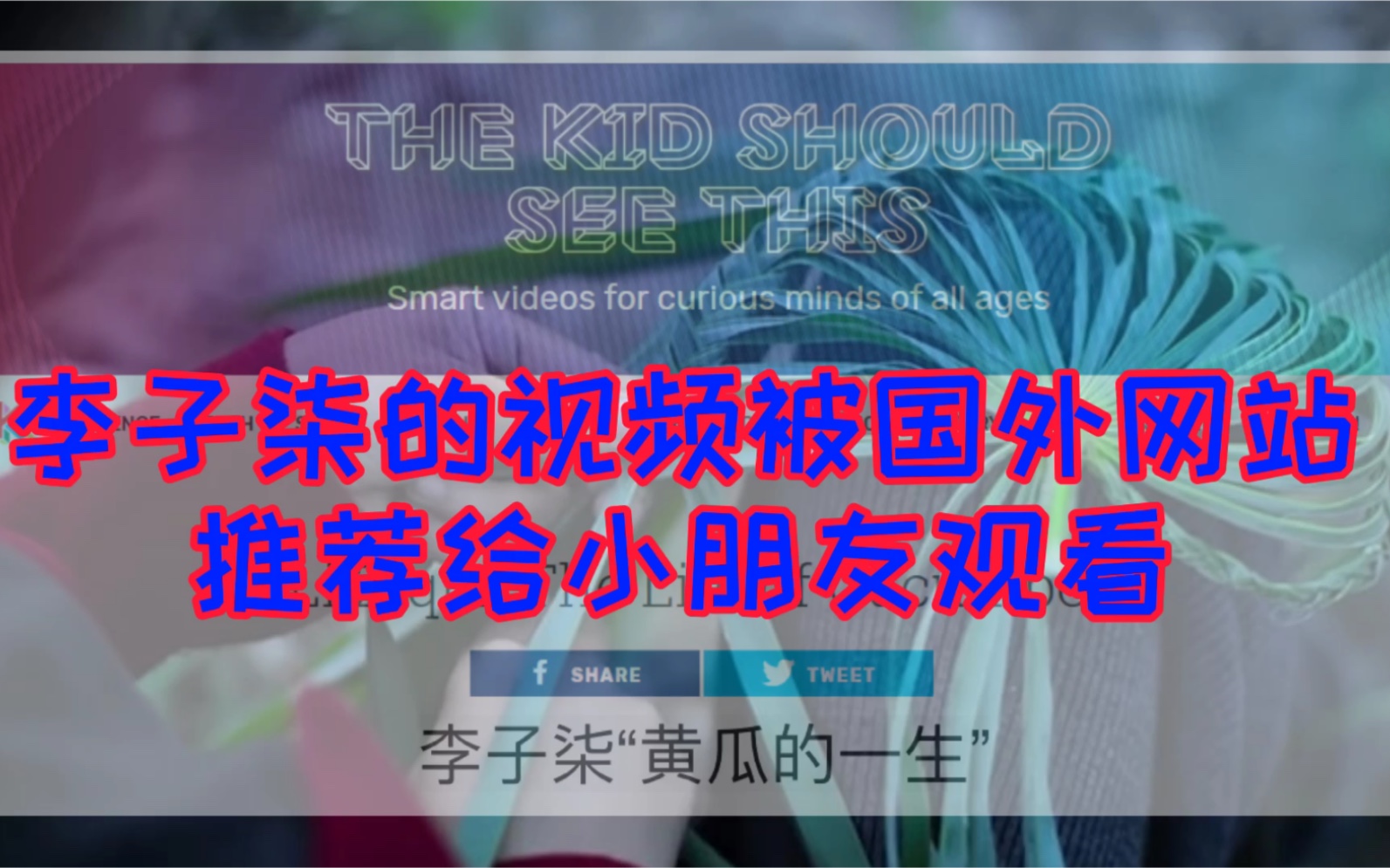 李子柒的视频被国外网站推荐给小朋友观看,厉害啊当科普案例了哔哩哔哩bilibili