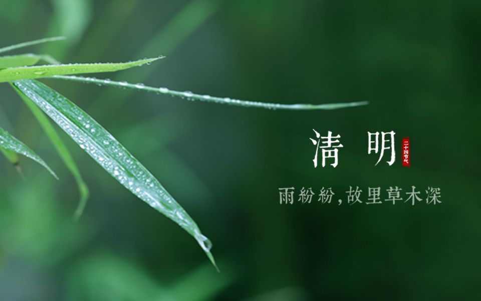 [图]清明，雨纷纷，故里草木深