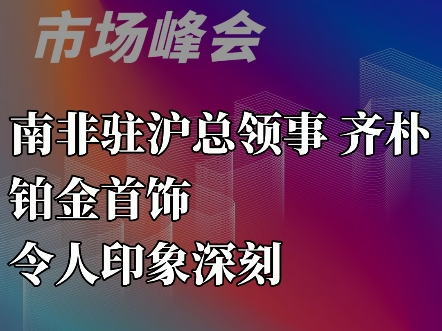 南非驻沪总领事齐朴—铂金首饰令人印象深刻#2024上海铂金周#铂金首饰哔哩哔哩bilibili