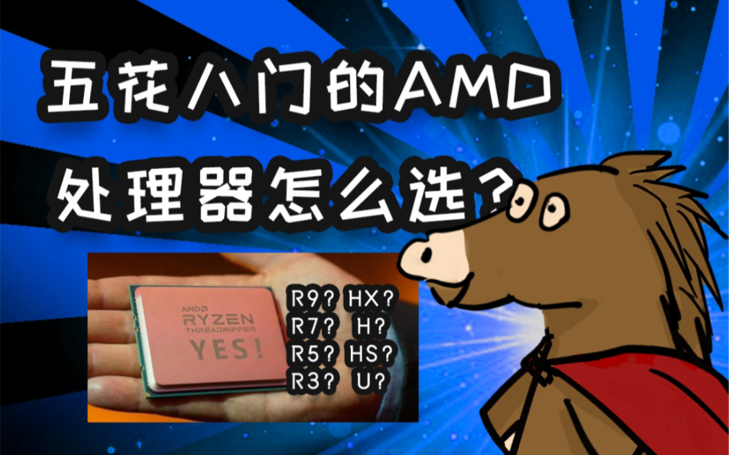 五花八门的amd处理器怎么选??哔哩哔哩bilibili