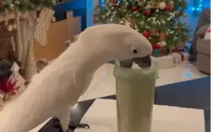 Скачать видео: 吨豆浆awwwwww