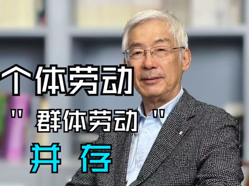 从就业到从业:个体劳动与群体劳动并存哔哩哔哩bilibili