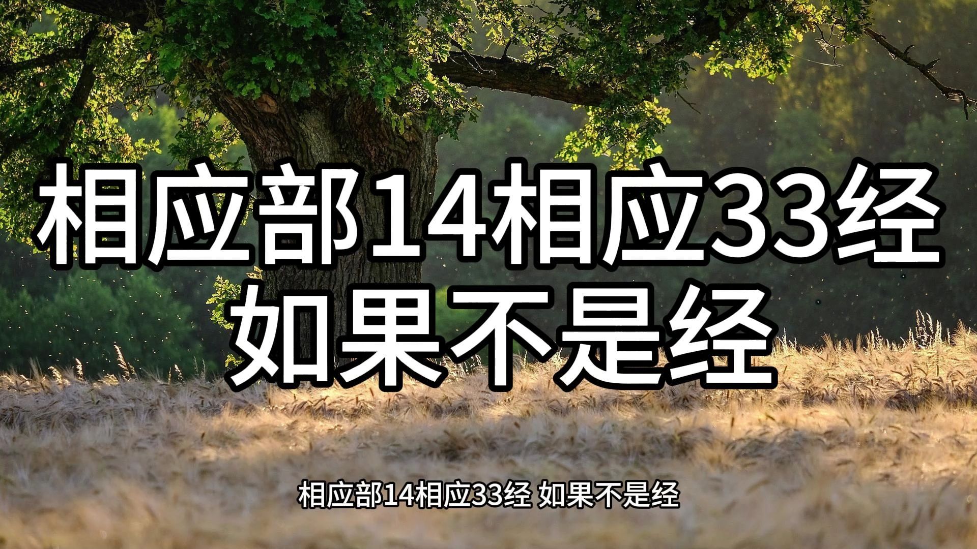 159.相应部14相应33经 如果不是经(白话佛经)解说哔哩哔哩bilibili