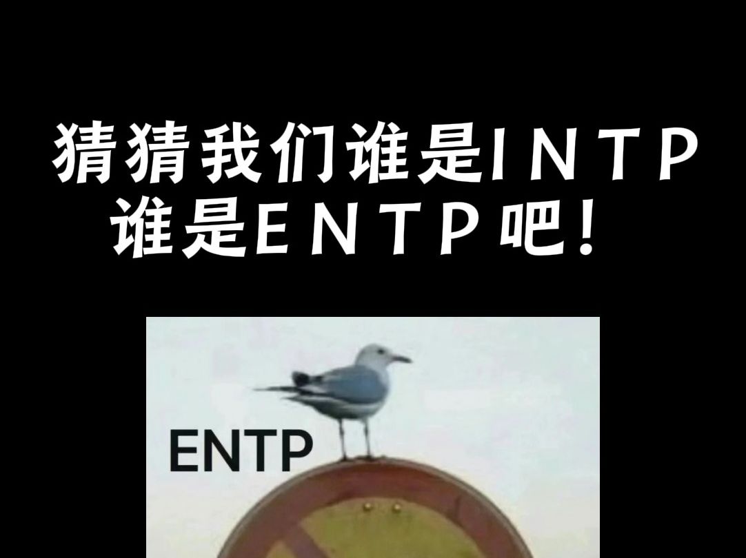 【MBTI】自由组相处日常,无奖竞猜谁INTP谁ENTP ?哔哩哔哩bilibili