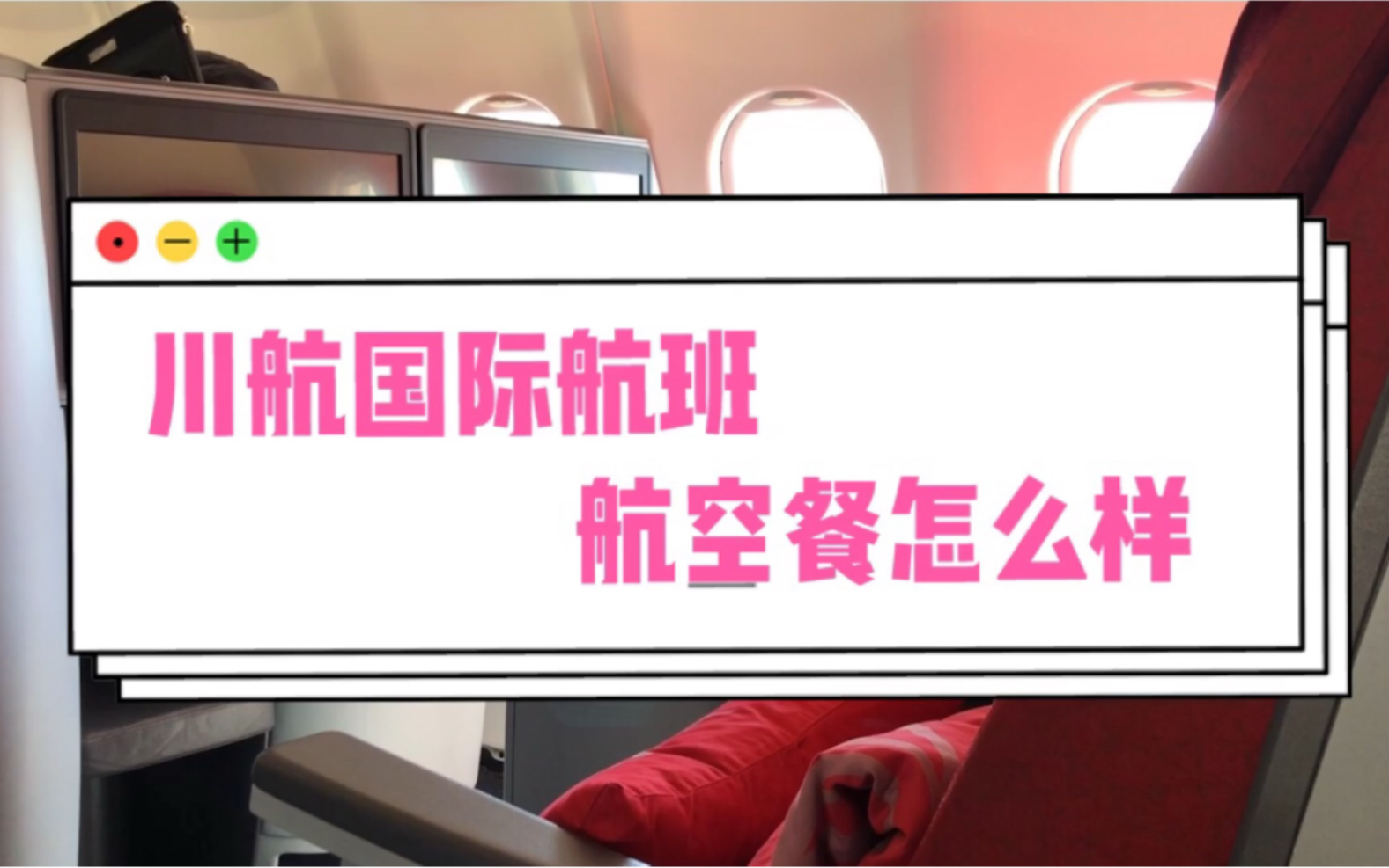 传说的喂猪航空,川航国际航班的航空餐究竟怎么样呢哔哩哔哩bilibili