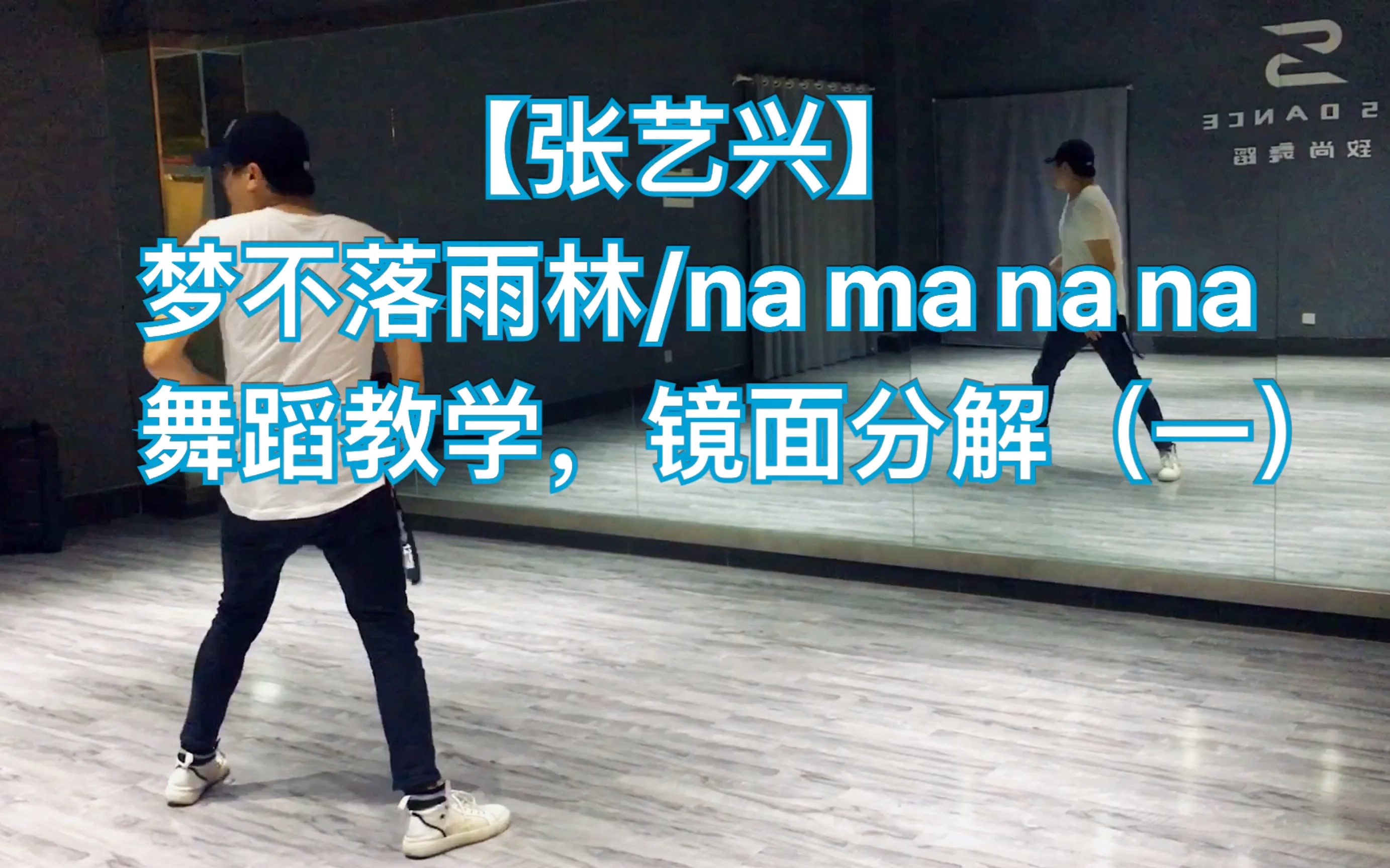 【致尚舞蹈/响哥哥】张艺兴《梦不落雨林/namanana》舞蹈教学镜面分解,喜欢艺兴的宝宝举个手哔哩哔哩bilibili