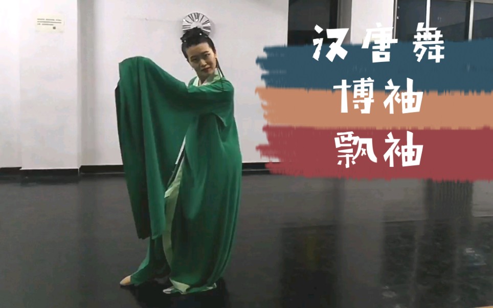 汉唐舞翻跳北京舞蹈学院本科博袖教材飘袖