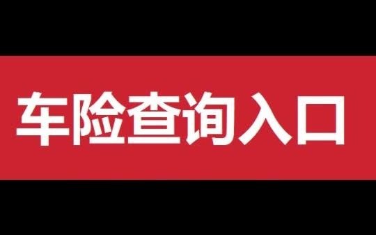 全国车辆保险查询系统哔哩哔哩bilibili