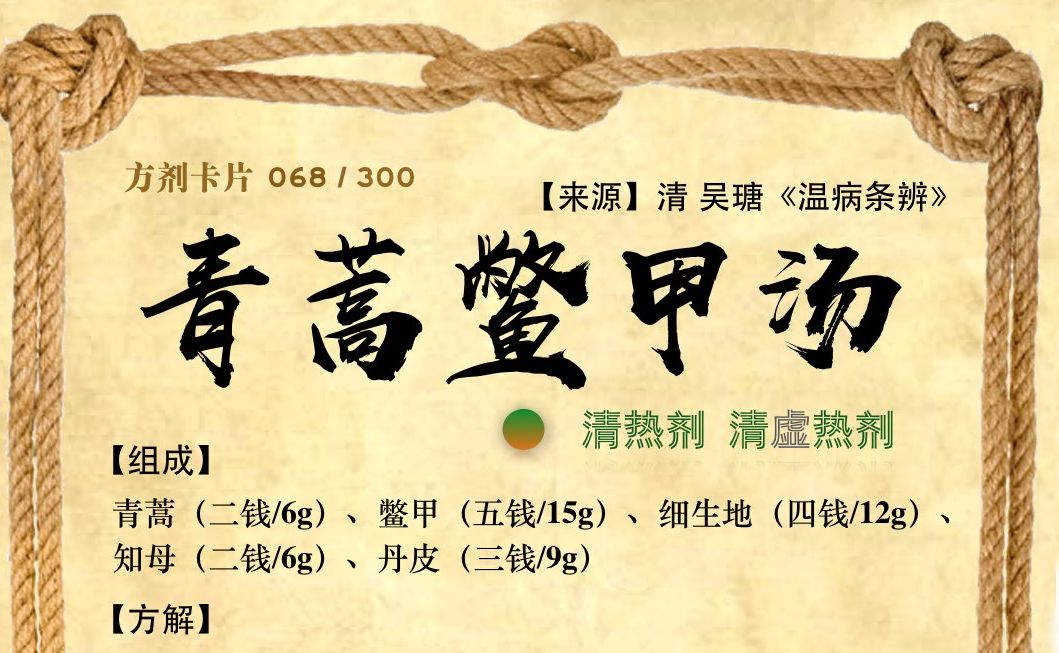 第52讲:清虚热剂之青蒿鳖甲汤