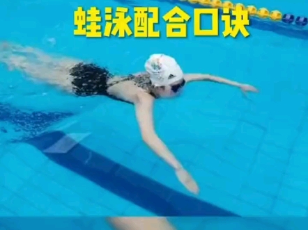 蛙泳配合口诀哔哩哔哩bilibili