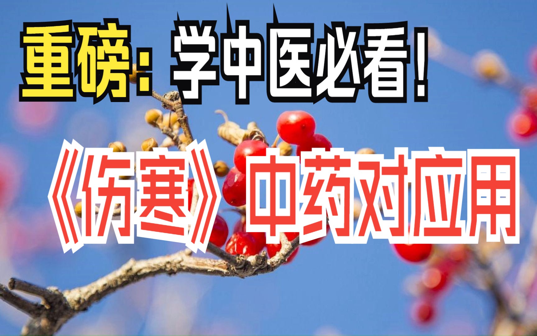 [图]重磅：《伤寒》中药对应用，学中医必看！